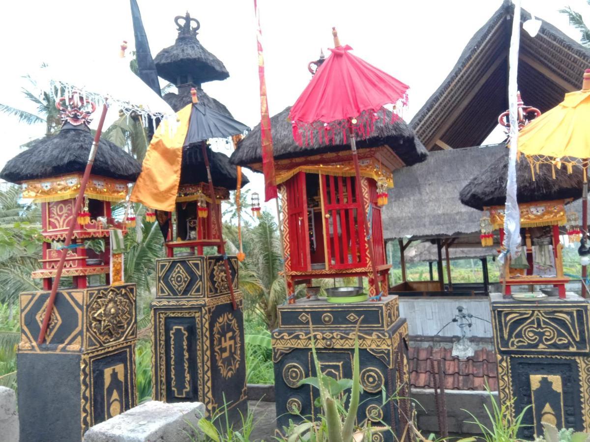 Pondok Diana Arta Jasri Buitenkant foto