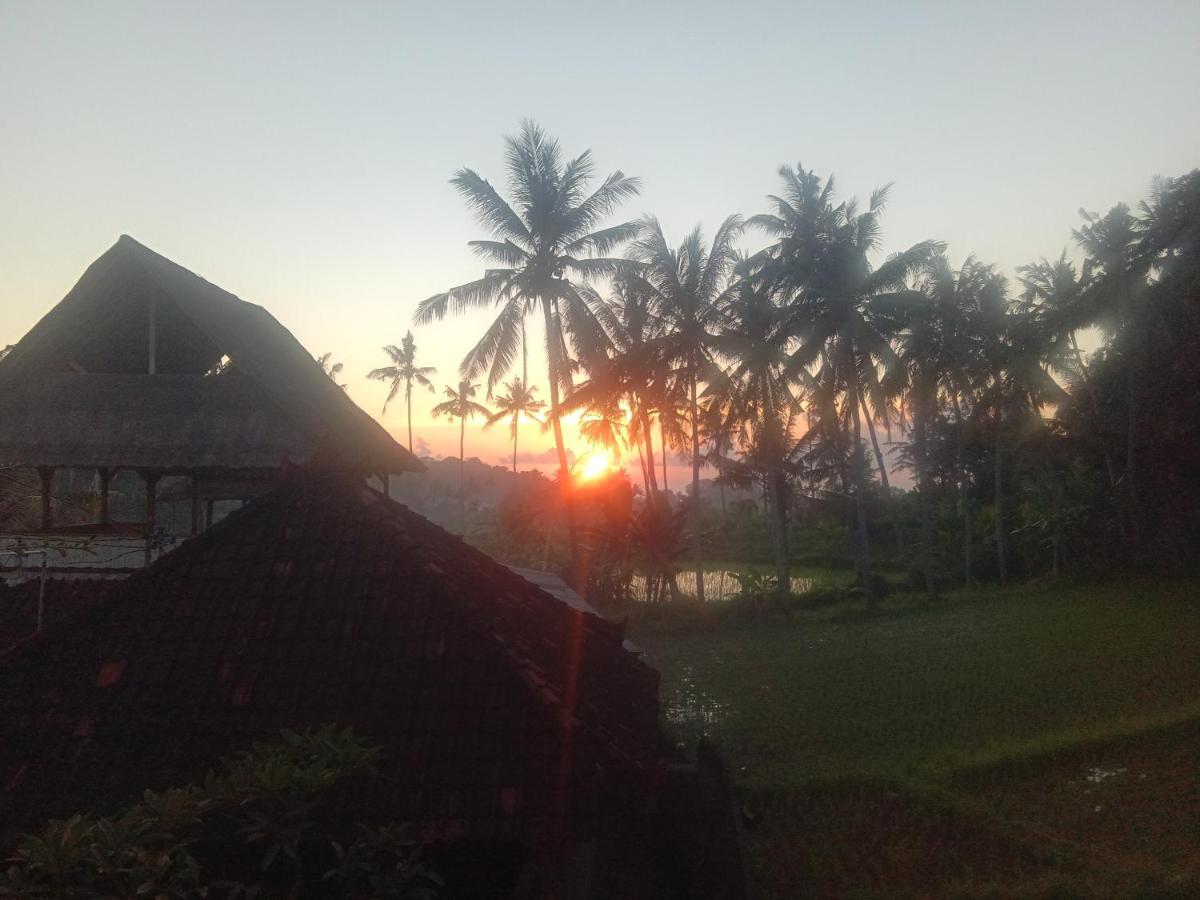 Pondok Diana Arta Jasri Buitenkant foto