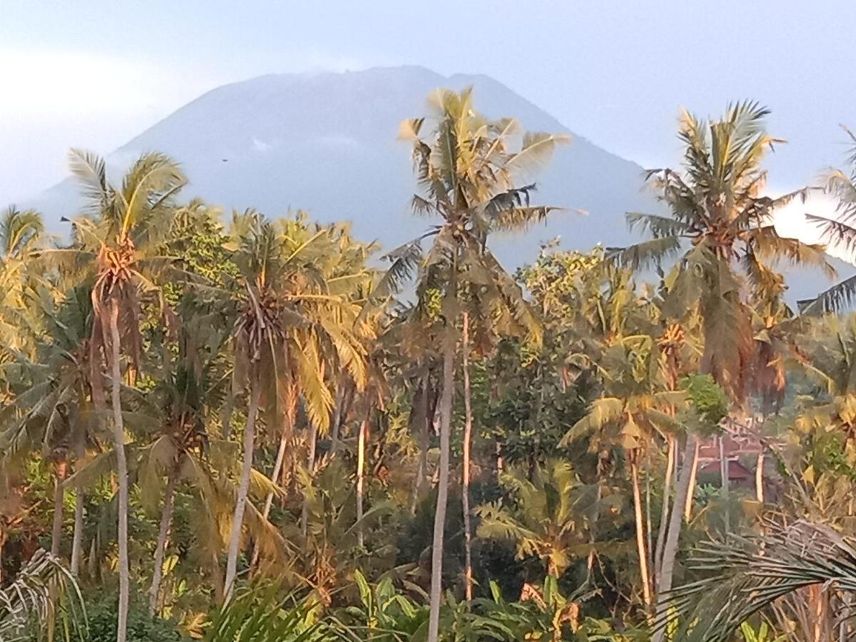 Pondok Diana Arta Jasri Buitenkant foto