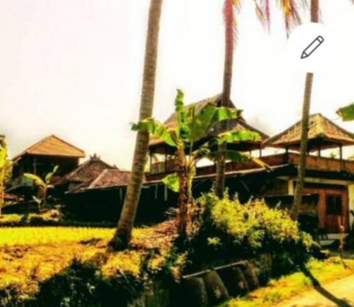 Pondok Diana Arta Jasri Buitenkant foto