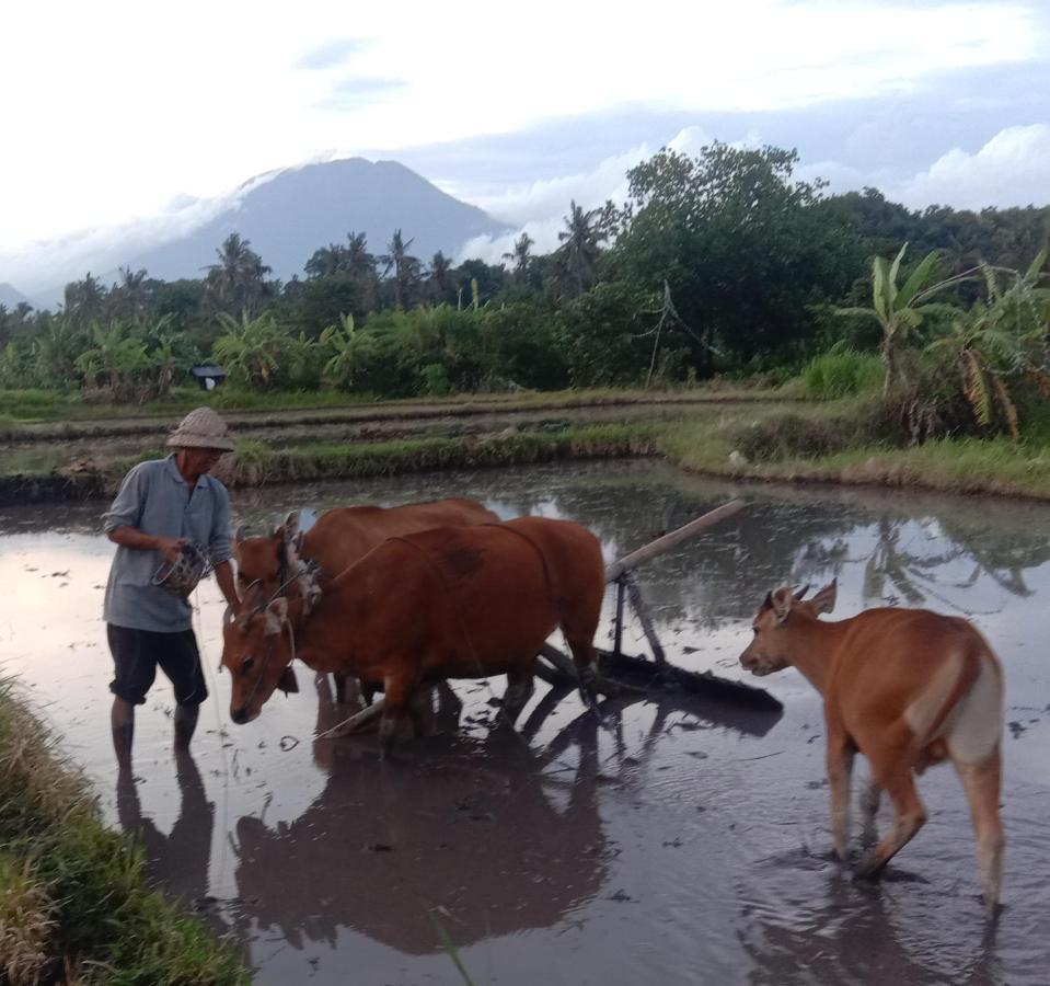 Pondok Diana Arta Jasri Kamer foto